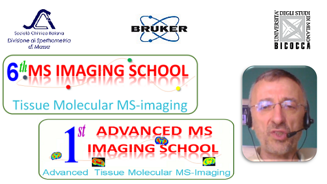 MS Imaging Schools